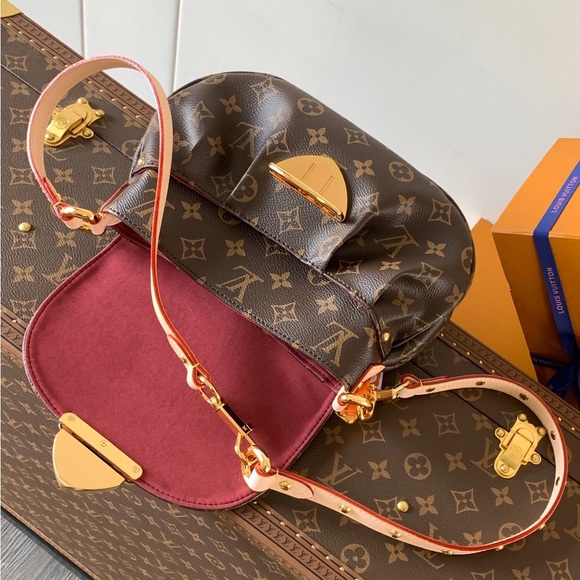 Louis Vuitton Classic Monogram Crossbody Bag - Picture 5 of 9